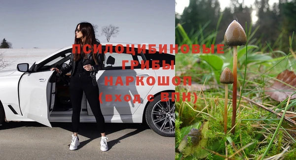 герыч Медвежьегорск
