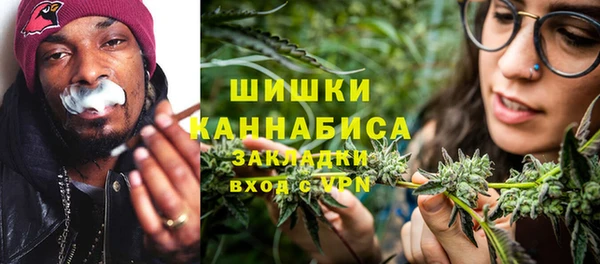 тгк Мегион