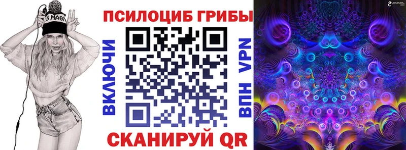 что такое   Черняховск  Галлюциногенные грибы мицелий 