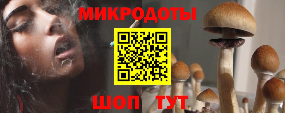 Псилоцибиновые грибы ЛСД  Вход с VPN  Черняховск 
