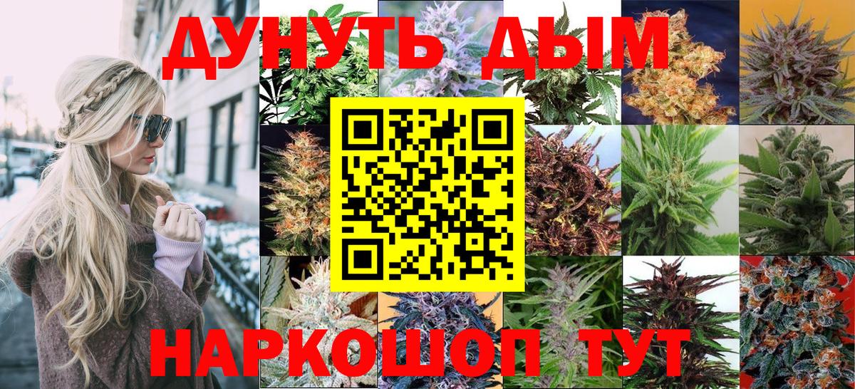 Бошки Шишки планчик Черняховск